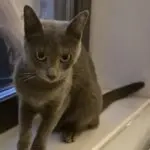 Edle Missy - unsere Einzelprinzessin