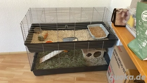 Kleintierkäfig 