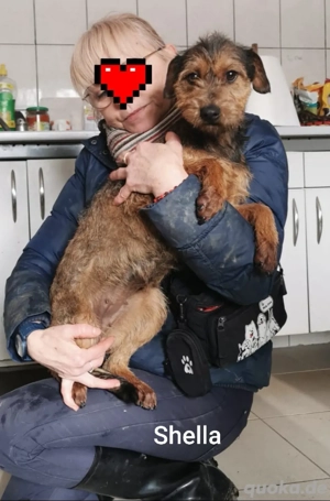 Hübsch und unkompliziert. Das ist Stella *noch in Kroatien*