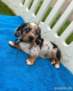 Heute gibt es 25% Rabatt! Verpassen Sie diese Chance nicht. Schreiben Sie mir gern auf WhatsApp   