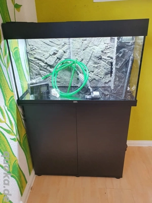 Juwel Aquarium Rio 125 mit Unterschrank, Zubehör und Besatz