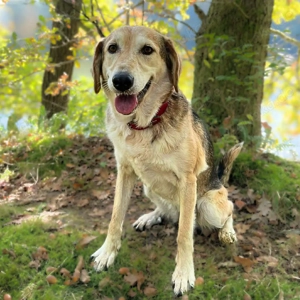 Milka - ist freundlich&entspannt