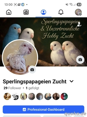 Guckt gerne mal vorbei   