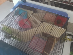 Hamster mit Käfig und Zubehör 