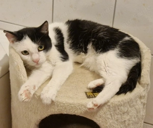 Lilly, 1 Jahr, sanft