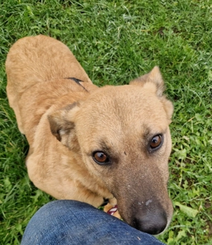 Luisa, 4 Jahre, 50-55 cm, lieb,  Bild 2