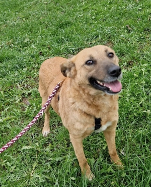 Luisa, 4 Jahre, 50-55 cm, lieb,  Bild 3