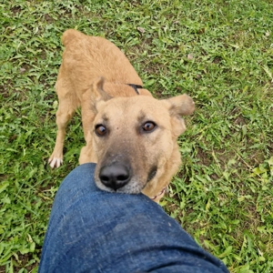 Luisa, 4 Jahre, 50-55 cm, lieb,  Bild 5