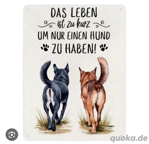 Hundefreund Gesucht. 