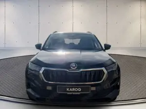 Skoda Karoq Tour Bild 4