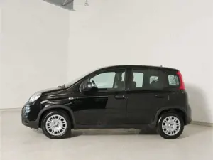 Fiat Panda 1.0 GSE Hybrid Bild 5