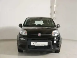 Fiat Panda 1.0 GSE Hybrid Bild 3