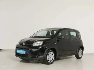 Fiat Panda 1.0 GSE Hybrid Bild 2