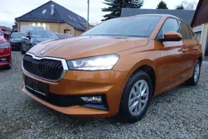 Skoda Fabia Selection beh. Lenkrad / Scheibe