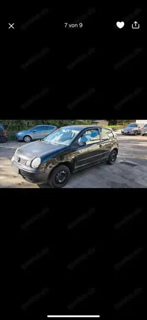 Volkswagen Polo Cricket