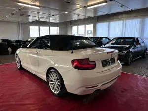 BMW 228 228i Cabrio//Autom//Kamera//Memory// Bild 5
