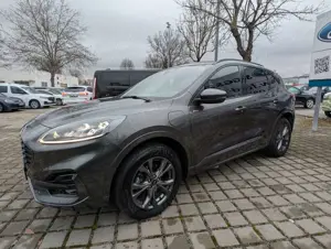 Ford Kuga Bild 3