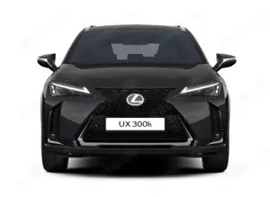 Lexus UX 300h F Sport Design Klima Kamera Sitzhzg Bild 2