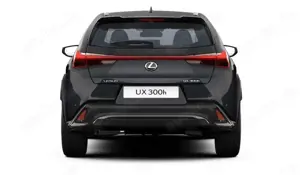 Lexus UX 300h F Sport Design Klima Kamera Sitzhzg Bild 4