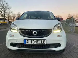 smart forFour Basis 52 kW (453.042) Bild 2