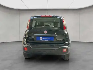Fiat Panda Bild 5
