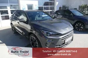 CUPRA Terramar VZ 2.0 TSI 265 PS DSG 4Drive AHK Pano 20" Hadro...