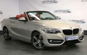 BMW 220 220d 2.0 Sport Cabrio *2HAND*LEDER*PDC*SHZ*AUX*uvm