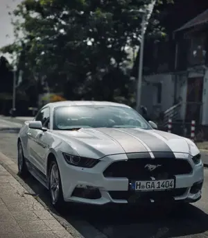 Ford Mustang 3,7 v6   VB