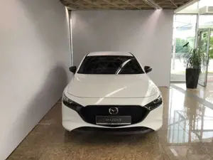 Mazda 3 3 2.5 e-Skyactiv G 140 Homura (EURO 6e) LED Navi Bild 3