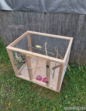 Kanarienvogel mit Käfig