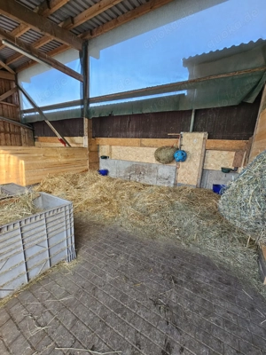 Paddockbox in Diefenbach