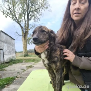 Roky-Mudimix- geb ca 2025