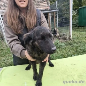 Rubi-MudiMix-geb ca 2025