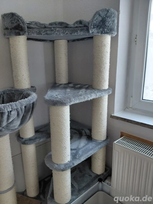 Kratzbaum grau Creme 