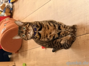 Mutter  Tochter Duo abzugeben