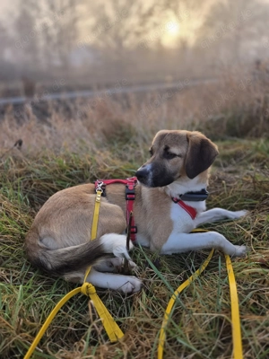 Ronja - zarte Räubertochter mit mutigen Herz