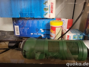 Aquarium, 60 L mit etwas Zubehör Bild 2