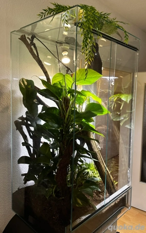 Hochwertiges Terrarium 60x120x60 cm   gepflegt & voll funktionsfähig 