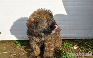 Tito bringt dein Herz zum Schmelzen