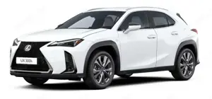 Lexus UX 300h F Sport Design Klima Kamera Sitzhzg Bild 4