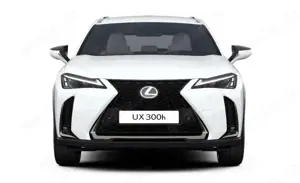 Lexus UX 300h F Sport Design Klima Kamera Sitzhzg Bild 2