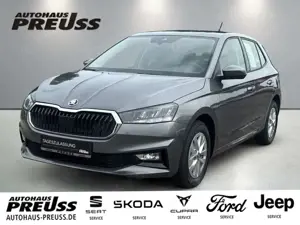 Skoda Fabia 59KW (80PS) Selection MPI Bild 1