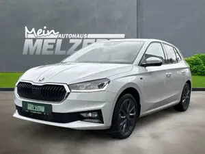 Skoda Fabia TOUR 1.0 TSI WSS BEHEIZT+ALU+PDC+SHZ+KESSY Klima