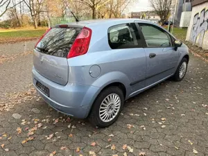 Fiat Punto 1.2 8V Active Clima Bild 5