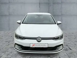 Volkswagen Golf VIII 1.5 TSI LIFE LED+ACC+AHK+NAVI+SHZ+RFK Bild 3