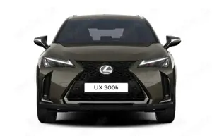 Lexus UX 300h F Sport Design Klima Kamera Sitzhzg