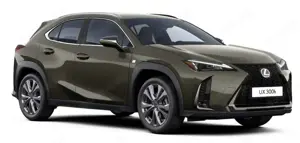 Lexus UX 300h F Sport Design Klima Kamera Sitzhzg
