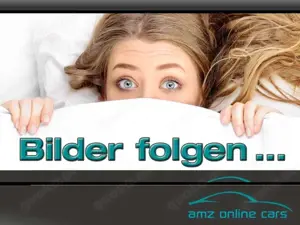 Ford Kuga ST-Line 2.5L FHEV Winterpaket*, Allrad