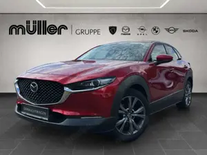 Mazda CX-30 X 186 PS 6GS SELECTION A18-B BOS DES-P ACT-P