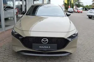 Mazda 3 2.5L e-SKYACTIV G 140ps Homura Automatik Bild 4